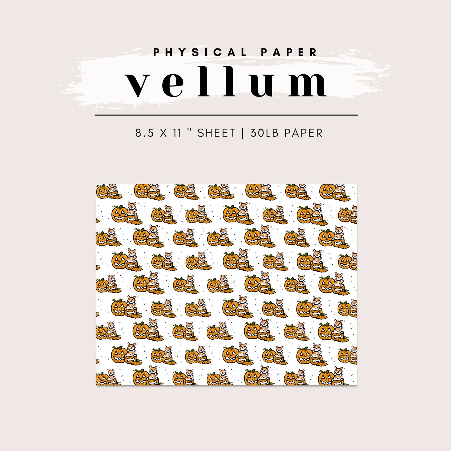 Vellum - Two Corgis in a Pumpkin
